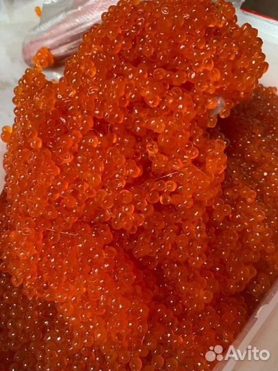 Красная икра Горбуши 2023