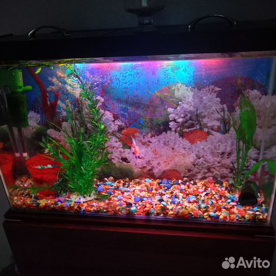 Аквариум 100л