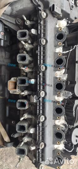 Двигатель M57D30(306D1) BMW X5 E53