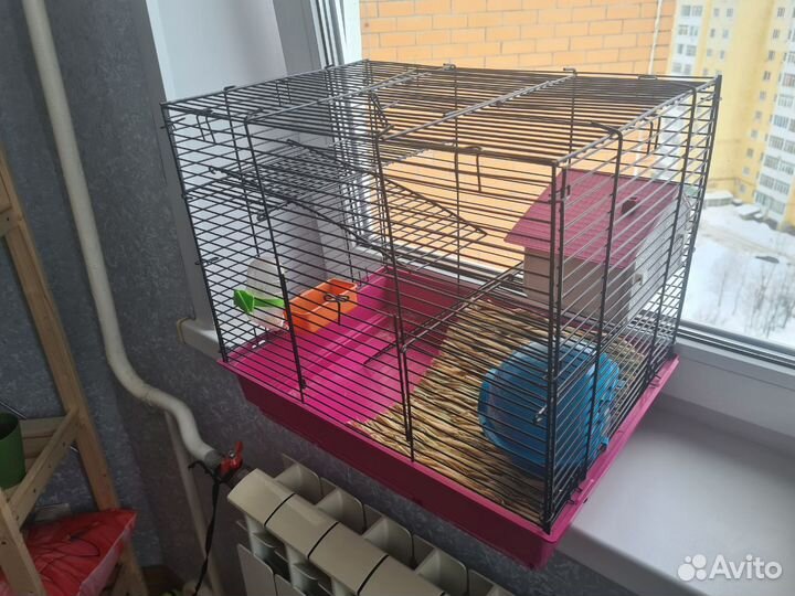 Клетка для грызунов бу