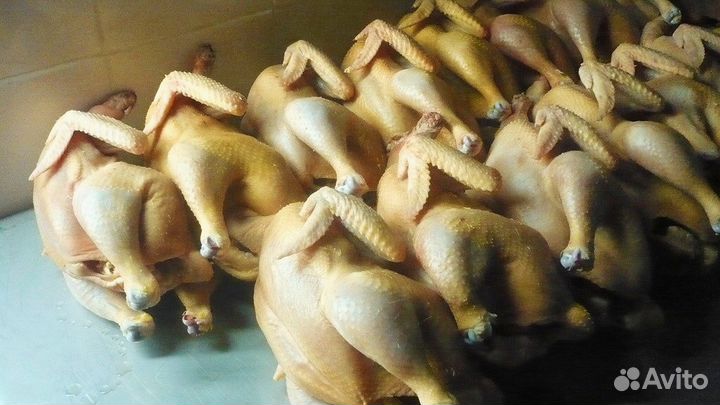 Домашние бройлеры