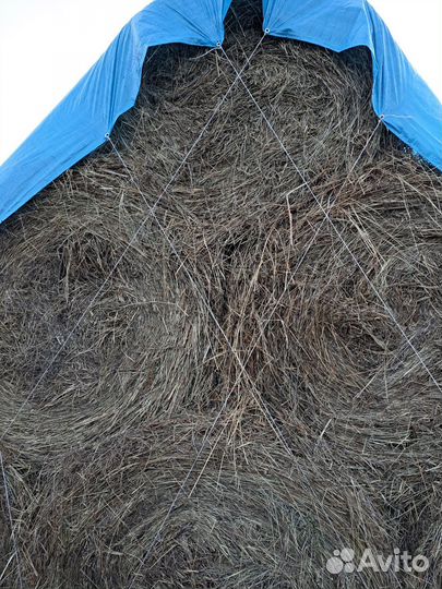 Сено в тюках