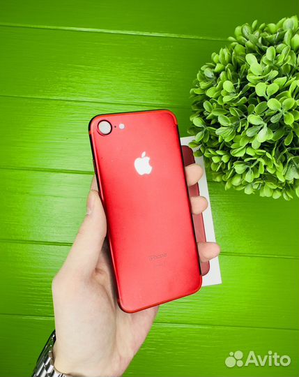 iPhone 7 128gb product red