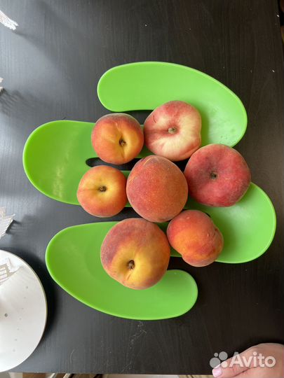 Фруктовница