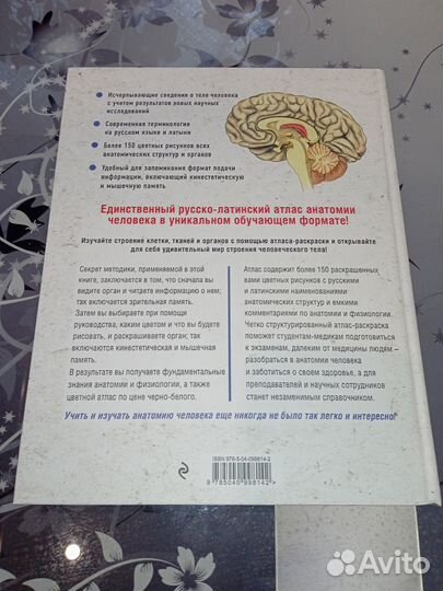 Анатомический атлас-раскраска