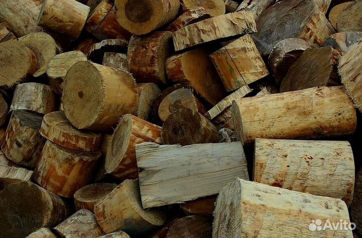 Дрова осина