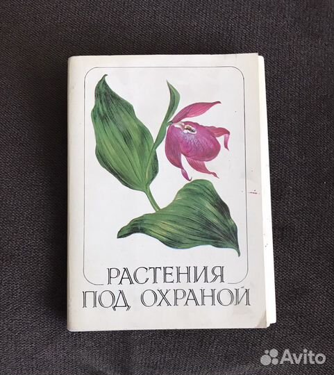 Наборы открыток «Зеленая аптека»