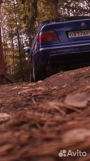 Аренда дома на сутки в лесу