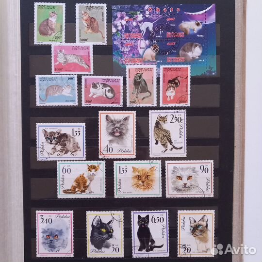 Почтовые марки кошки, собаки