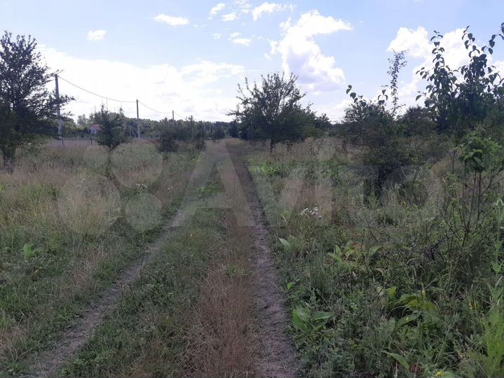 Участок 1,14 га (СНТ, ДНП)