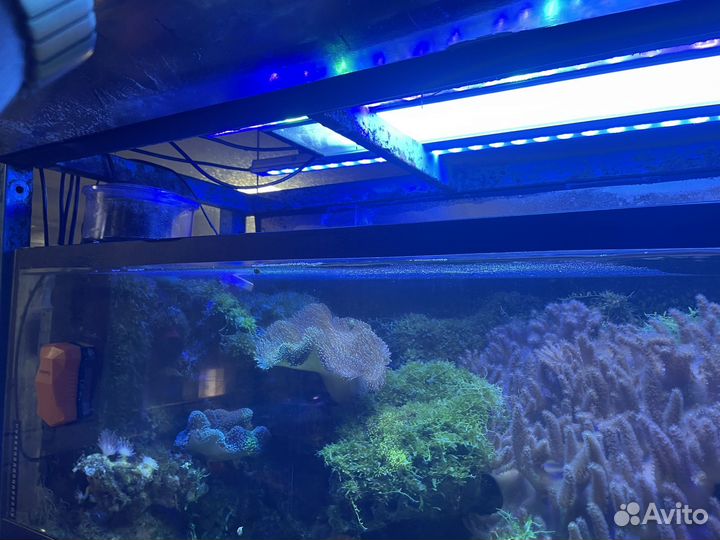 Морская аквариумная стойка