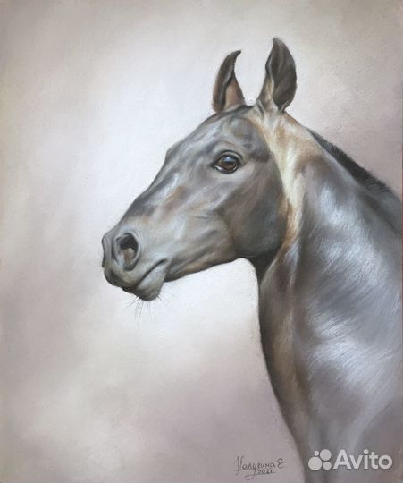 Картина пастелью лошадь