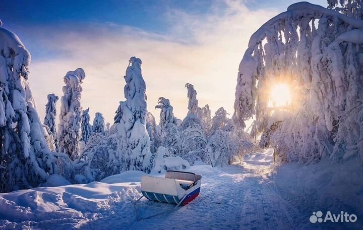 Полюд и Ветлан на снегоходах