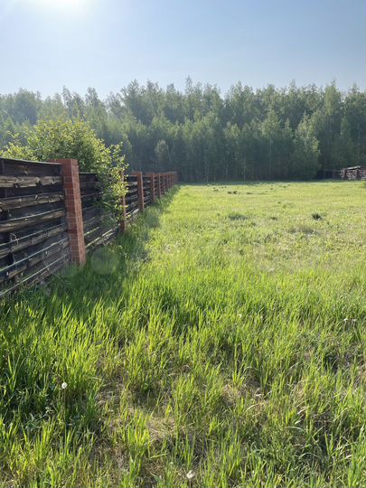 Участок 20 сот. (СНТ, ДНП)
