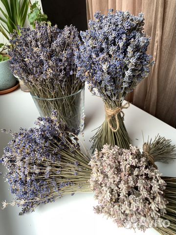 Букет из лаванды сухой
