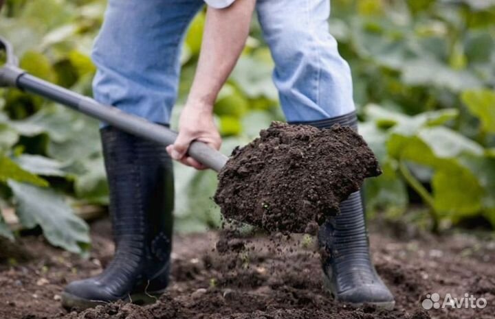 Торф в наличии