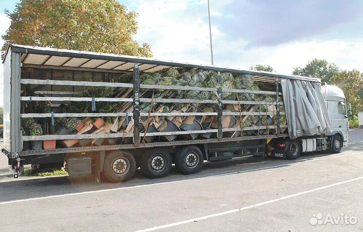 Грузоперевозки межгород фура 1, 5, 10, 20 тонн