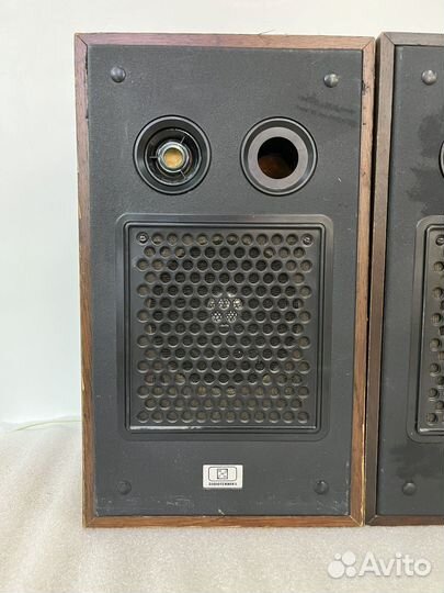 Акустическая система колонки Радиотехника