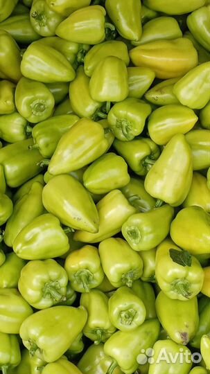Перец болгарский оптом