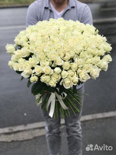 Розы 101 шт белая