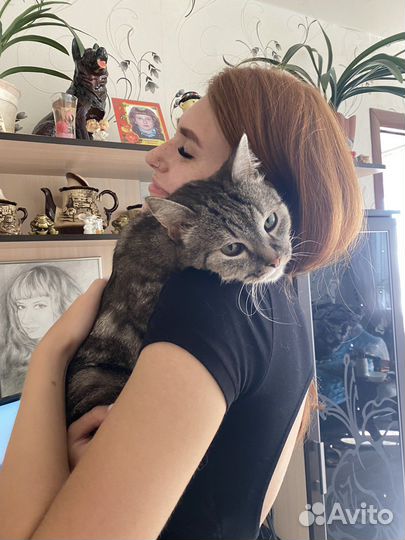 Выгульщик собак