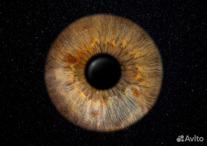 Фото радужки глаза