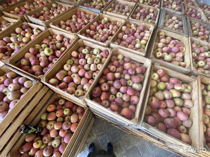 Яблоки флорина