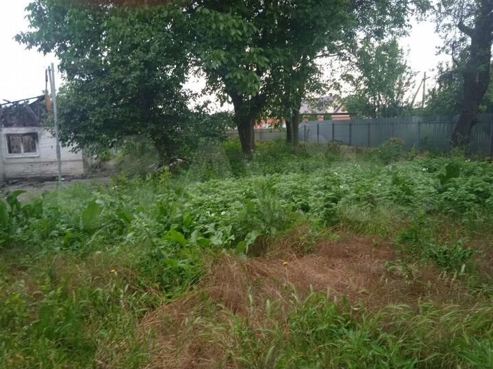 Участок 10 сот. (ИЖС)