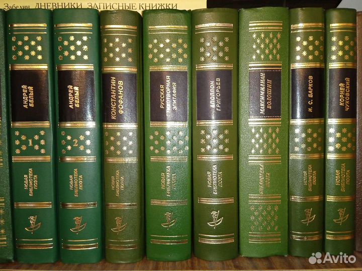 Библиотека поэта