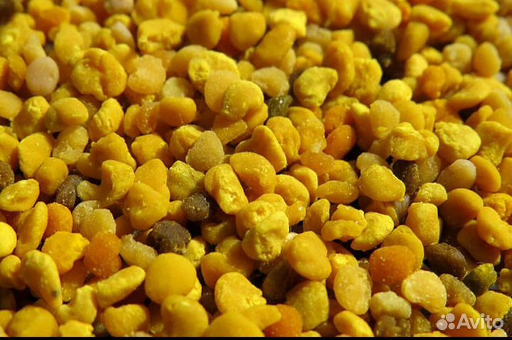 Пыльца цветочная