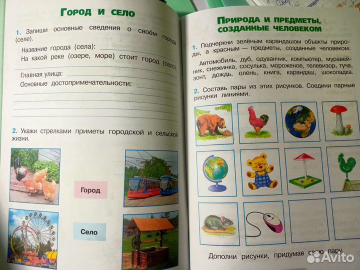 Рабочая тетрадь 2 класс окружающий мир