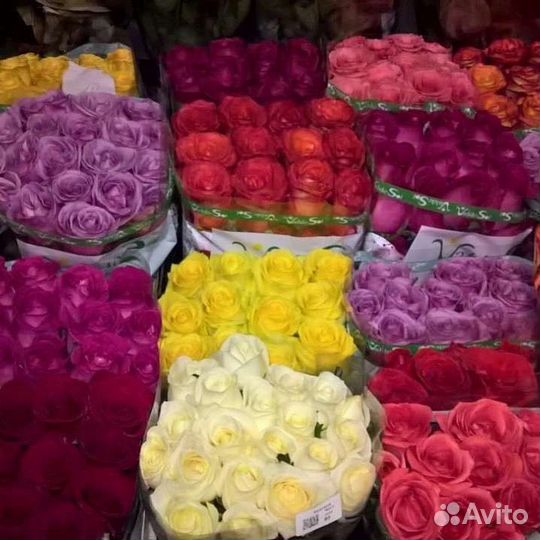 Розы и другие цветы оптом