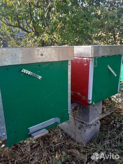 Ульи для пчел