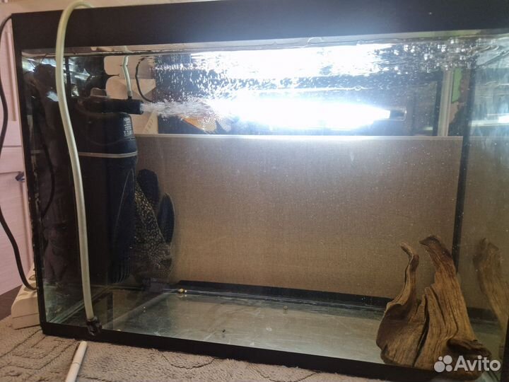 Аквариум