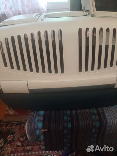Переноска для кошек пластиковая бу