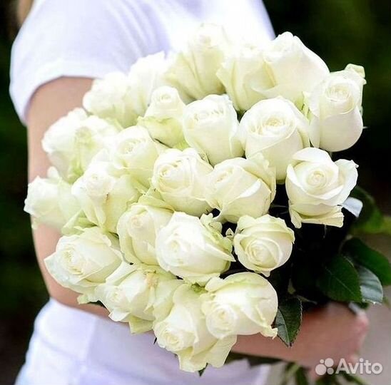 Высокие розы Гигантские розы Доставка цветов