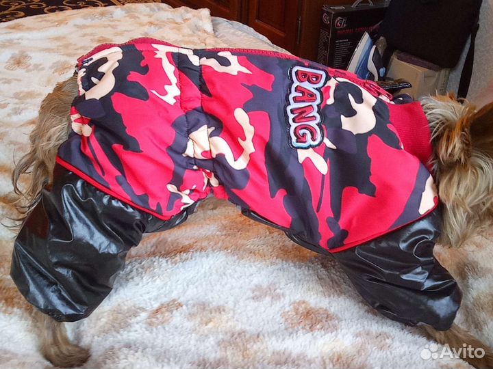 Костюм комбенизон для маленькой собаки M