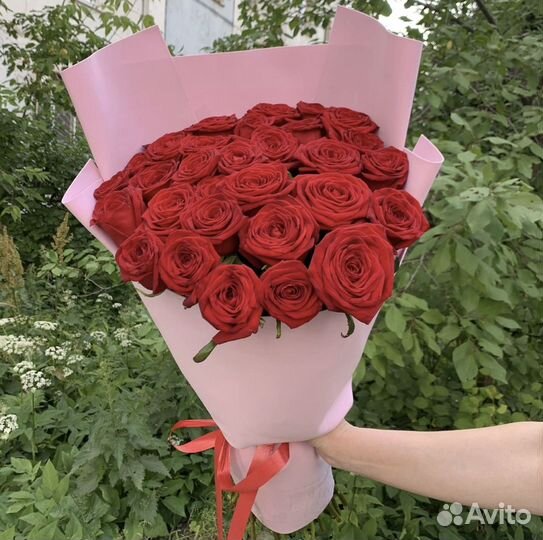 101 Роза цветы доставка 25 51 101 Розы