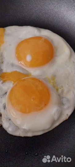 Домашние куриные яйца, огурцы