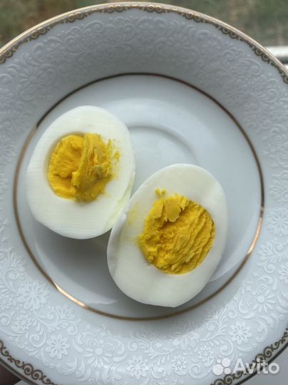 Домашние куриные яйца