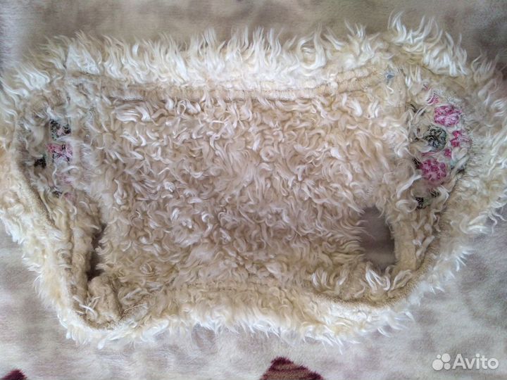 Жилет для собаки. Ещё актуально