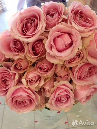 Цветы розы букет