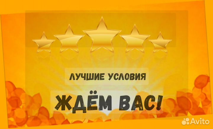 Комплектовщик Спецодежда Еженедельный аванс М/Ж