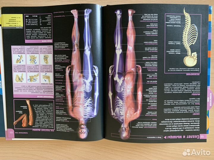 Только факты