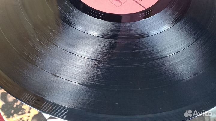 Виктор Векштейн группа Спрут