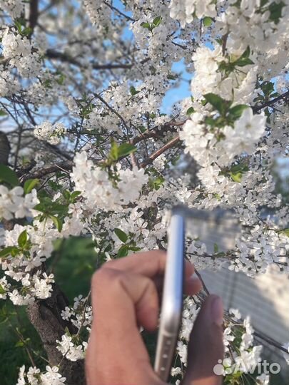 iPhone SE (2020), 128 ГБ