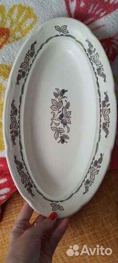 Селедочница зик