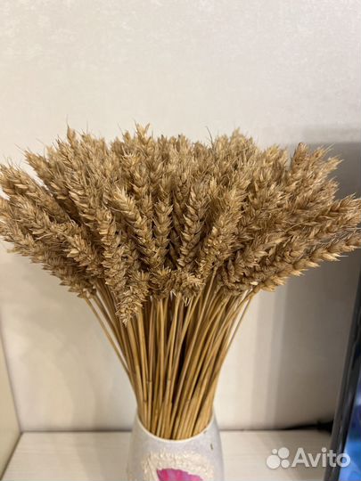 Букет ростки пшеницы