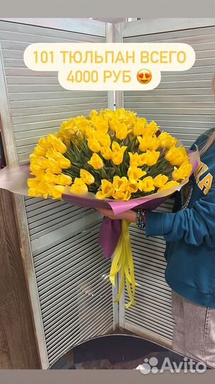 Тюльпаны 101 штука