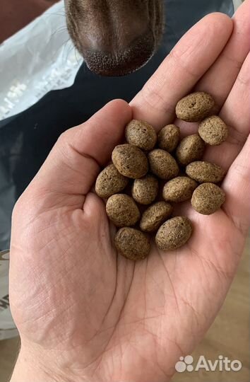 Корм для собак живая сила